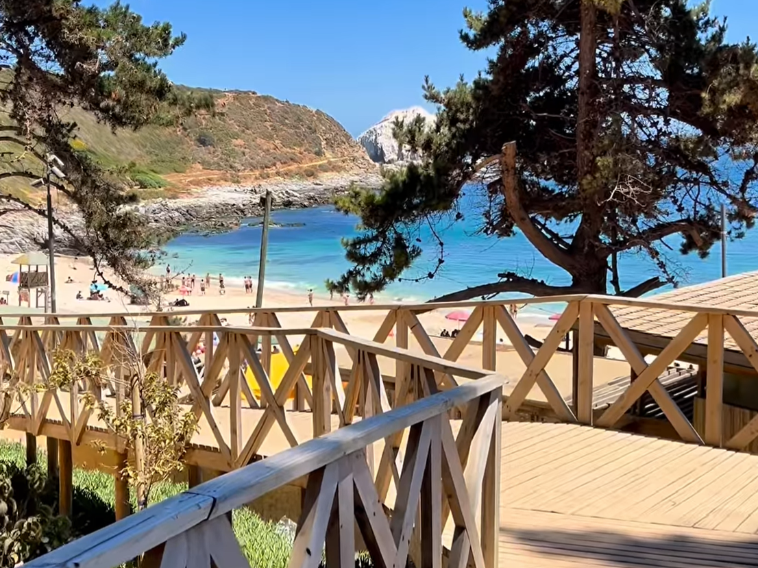 Vista de Playa El Canelo en Algarrobo desde la pasarela de madera, con pinos y mar azul al fondo