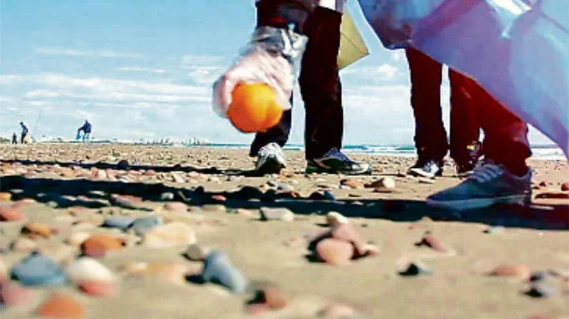 Jornada comunitaria de limpieza de playas en Algarrobo