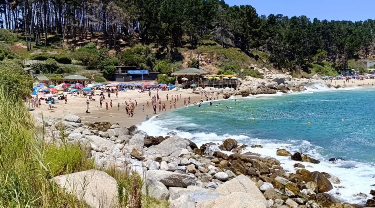 Playa El Canelillo en Algarrobo: cala rodeada de bosque de pinos, apta para el baño